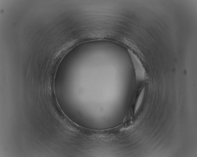 X0000073540681200608281617