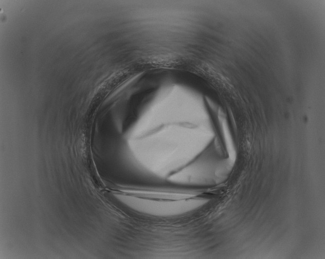 X0000073540689200608281617