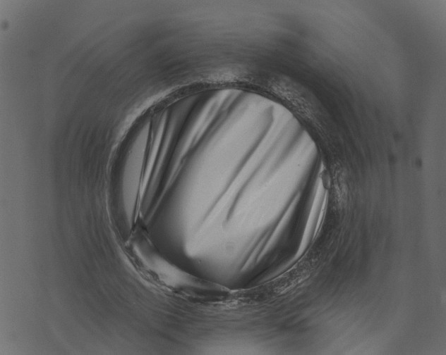 X0000073540728200608281616