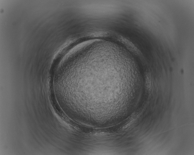 X0000073540730200608281616