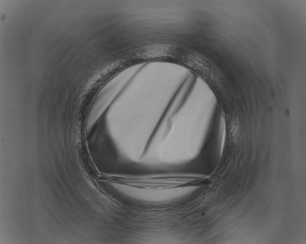 X0000073540732200608281616
