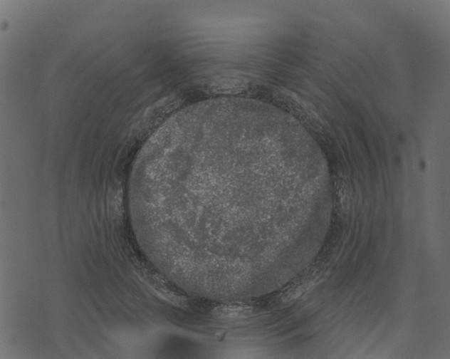 X0000073540745200608281616