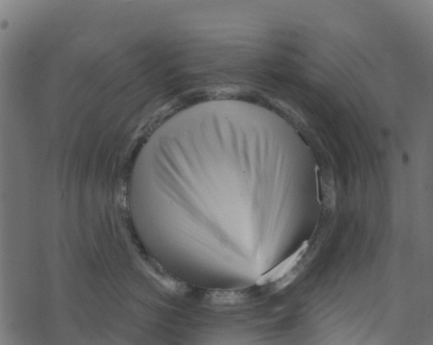 X0000073540766200608281616