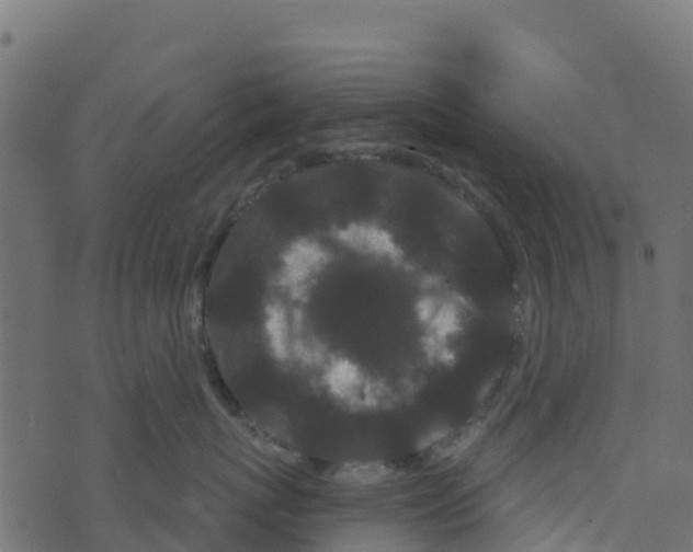X0000073540767200608281616