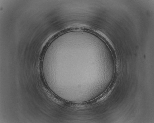 X0000073540783200608281615