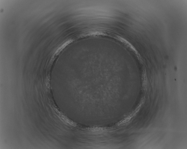 X0000073540785200608281615