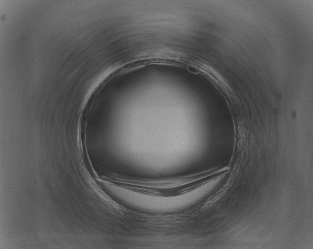 X0000073540788200608281615