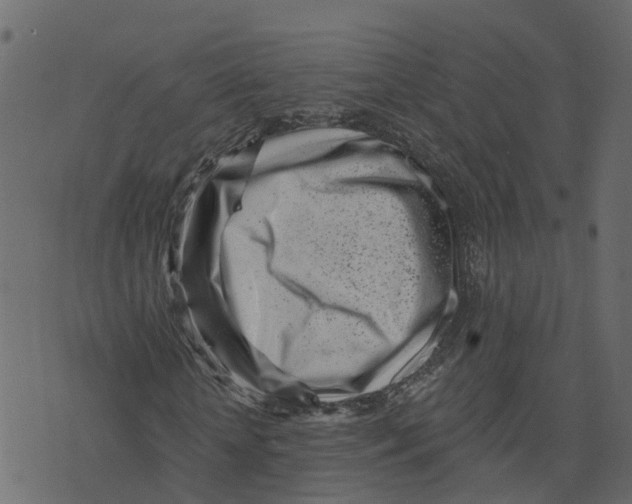 X0000073540818200608281614