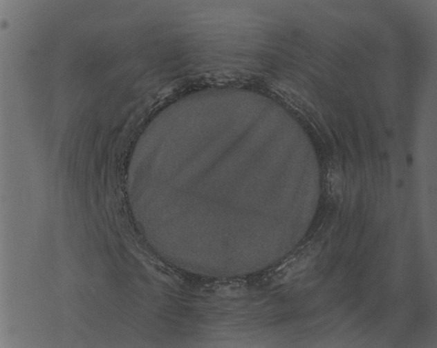 X0000073540865200608281614