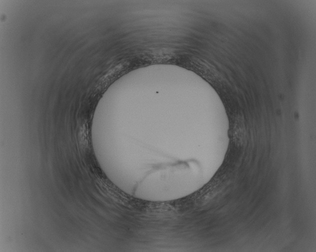 X0000073540866200608281614