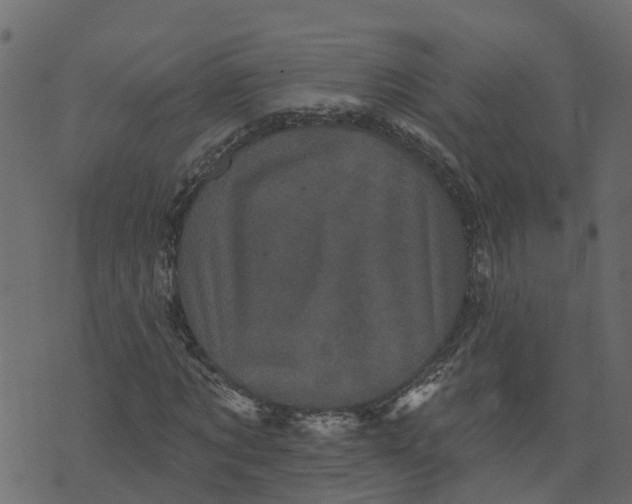 X0000073540869200608281614