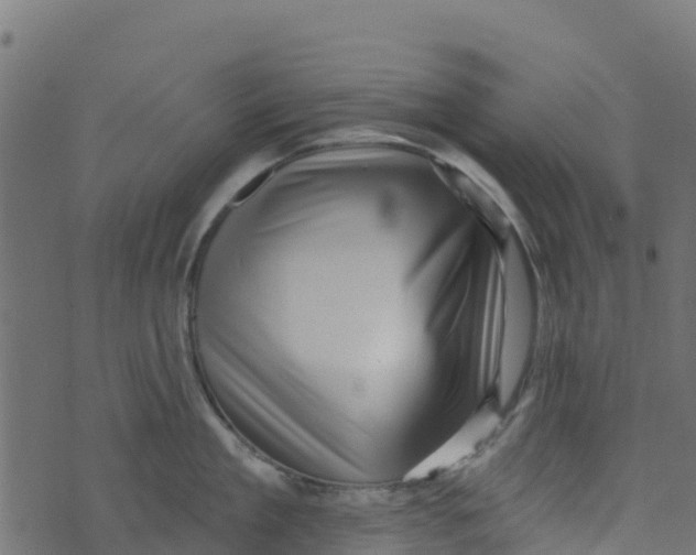 X0000073540909200608281613