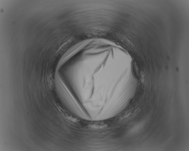 X0000073540915200608281613