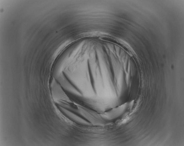 X0000073540946200608281613