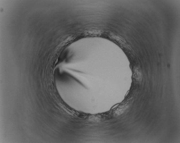 X0000073541009200608281611