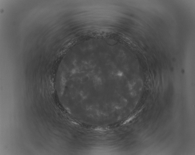 X0000073541013200608281611