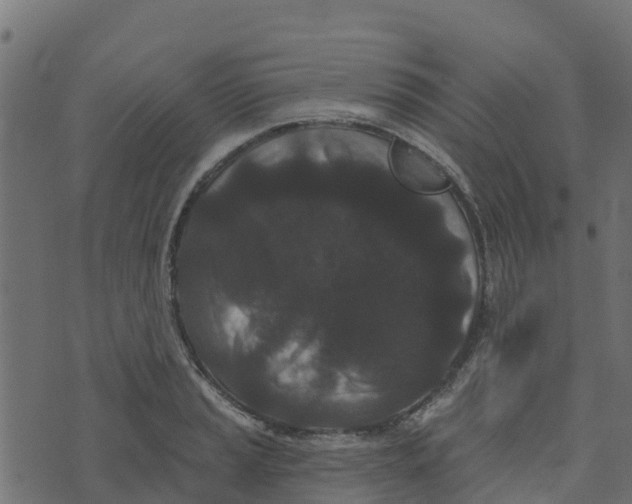 X0000073541037200608281611
