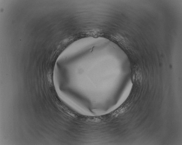 X0000073541106200608281609