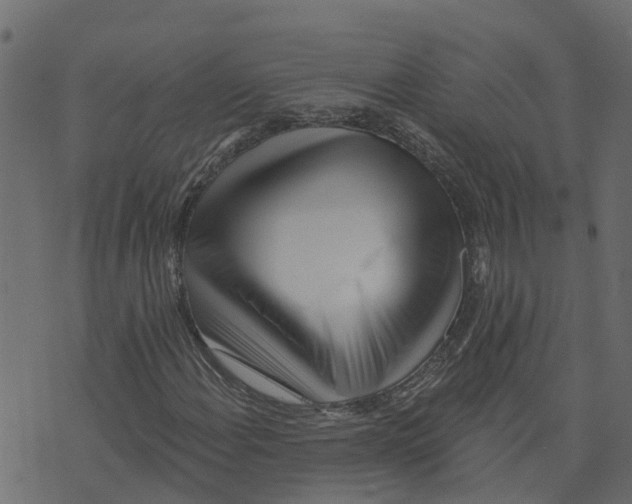 X0000073541108200608281609