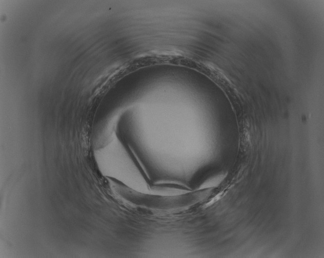 X0000073541110200608281609