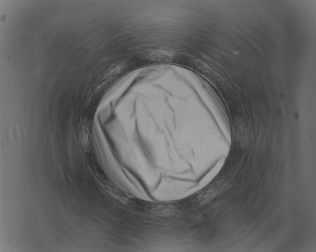 X0000073541154200608281609