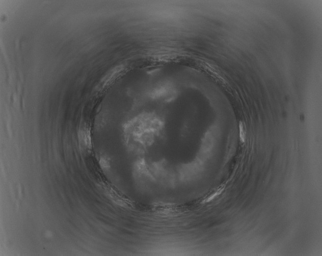 X0000073541155200608281609
