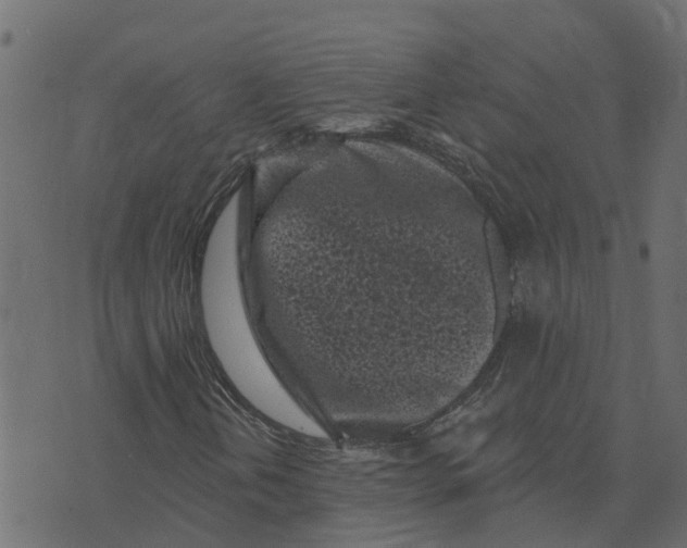 X0000073541202200608281608