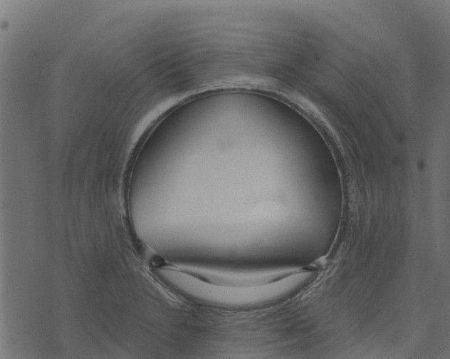 X0000073541230200608281608