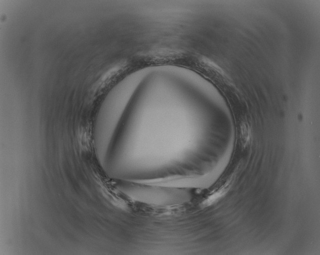 X0000073541300200608281606