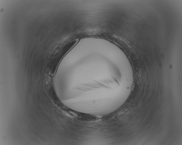 X0000073541349200608281606