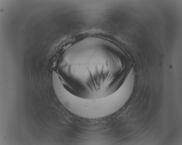 X0000073541398200608281605