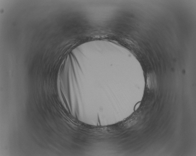 X0000073541444200608281605
