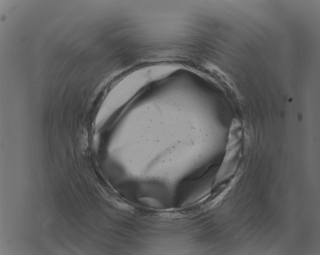X0000073541449200608281605