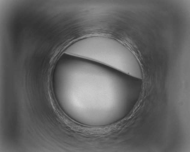 X0000073700001200608031026