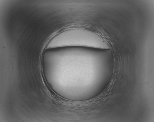 X0000073700003200608031026