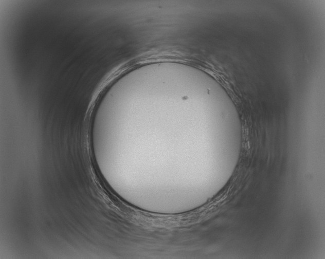 X0000073700004200608031026