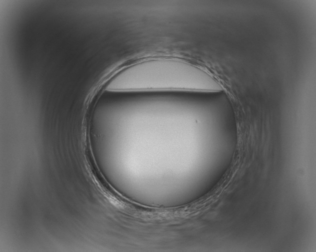 X0000073700005200608031026