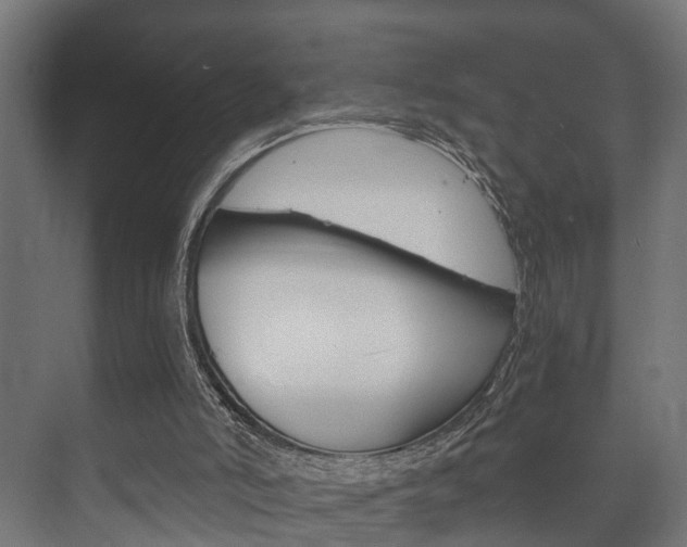 X0000073700006200608031026