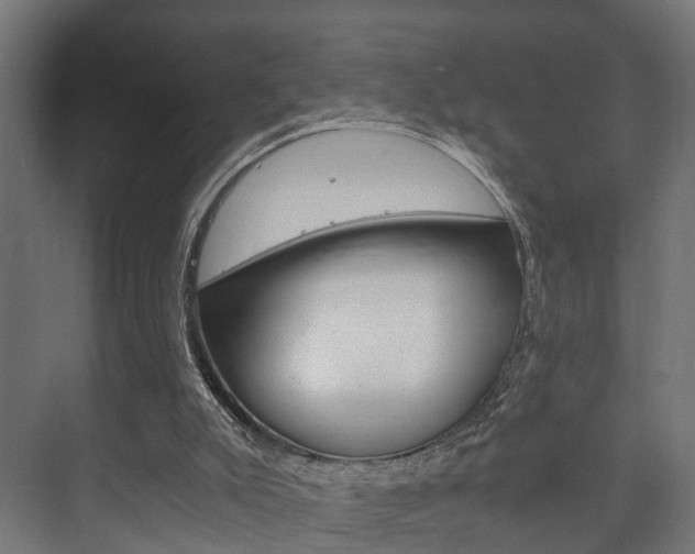 X0000073700007200608031026