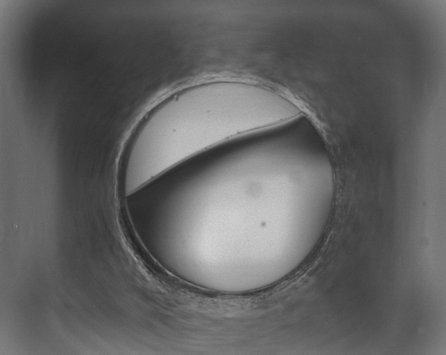 X0000073700008200608031026