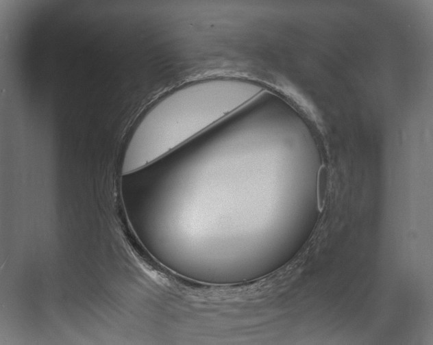 X0000073700009200608031026