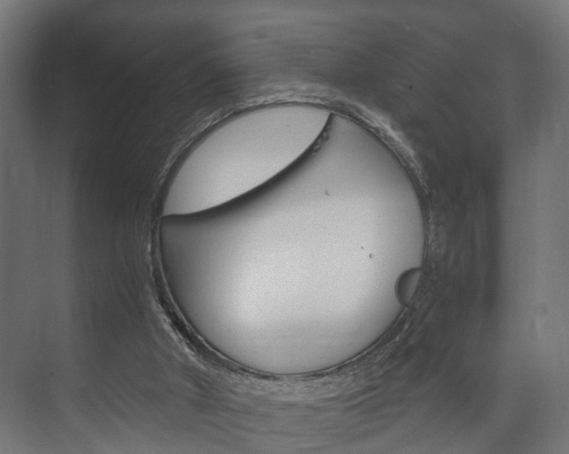 X0000073700010200608031026