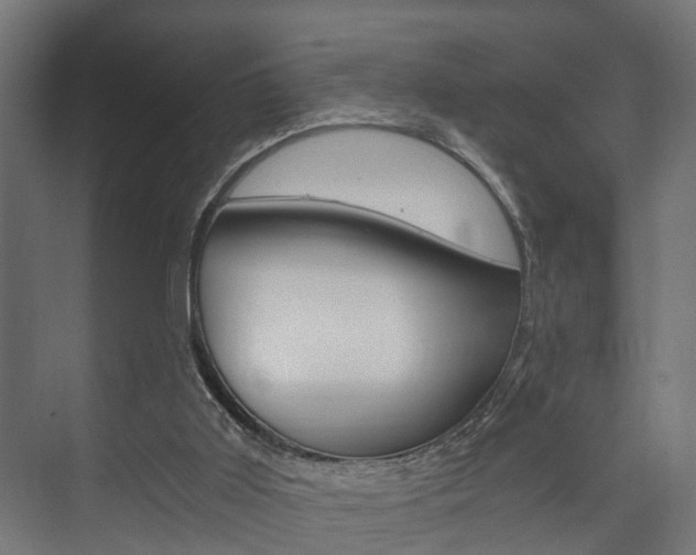 X0000073700011200608031026