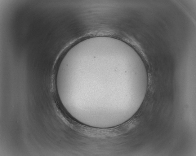 X0000073700012200608031026