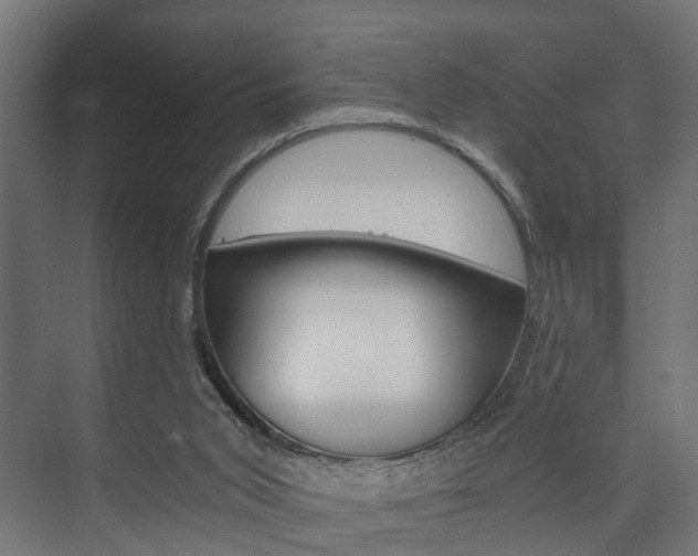 X0000073700015200608031026