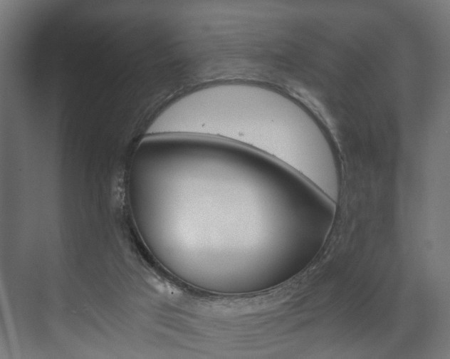 X0000073700017200608031026