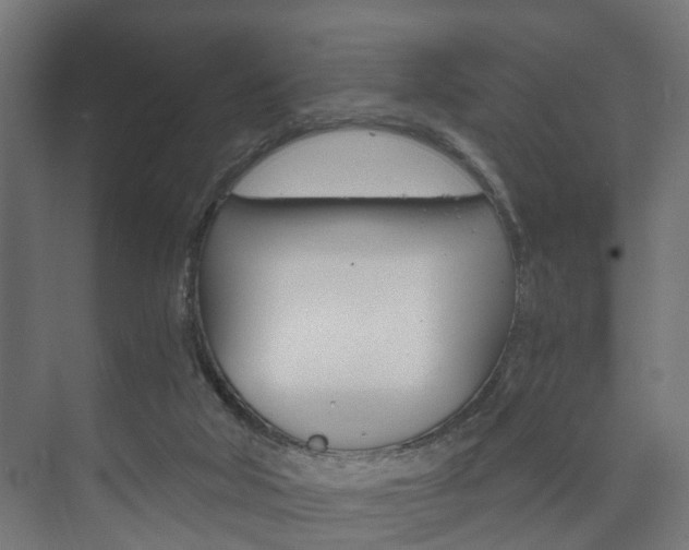 X0000073700018200608031026