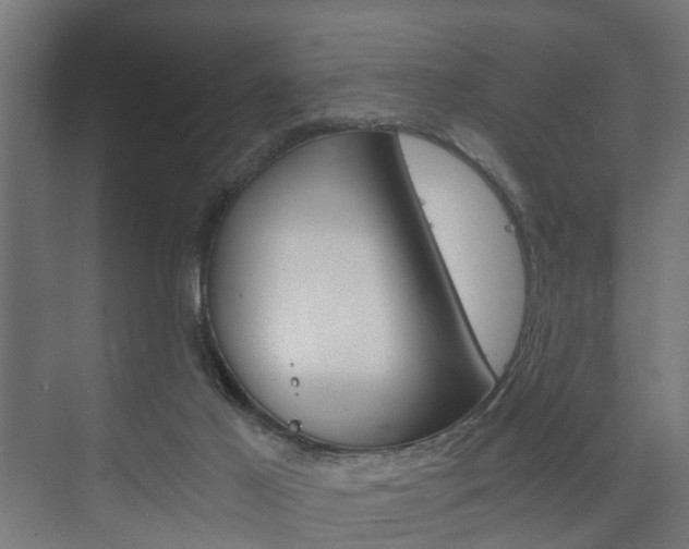 X0000073700021200608031026