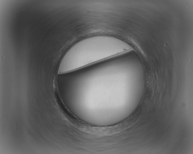 X0000073700023200608031026