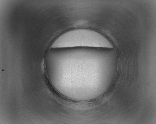 X0000073700024200608031026